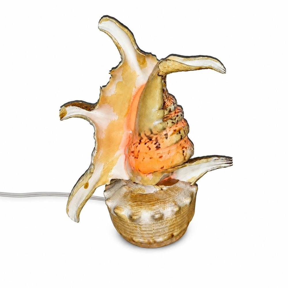 Vintage Real Conch Shell Lamp Night Light Accent‎ Light w/ In-Line Power Switch